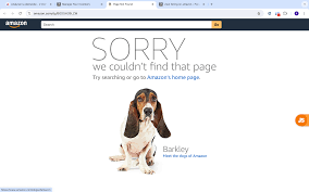 Amazon Listing Reinstatement